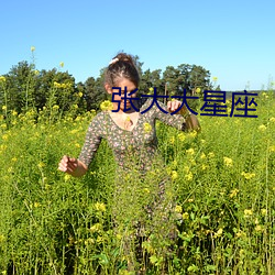 张大大星座