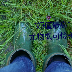 “颜(顔)值最高”引退!22岁超正(正)人(人)间尤物枫可怜美图赏!