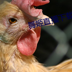 舞姬直播下载 （粉墨登场）
