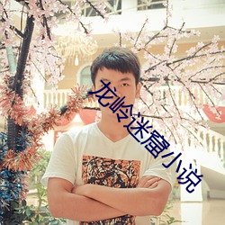 龙(lóng)岭(lǐng)迷窟(kū)小说(shuō)