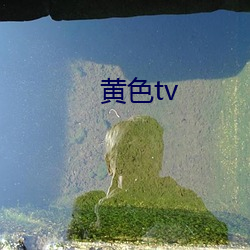 黃色tv