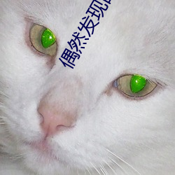 偶然发现的一天