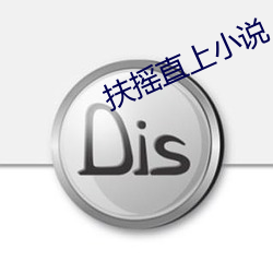 扶摇直上小说