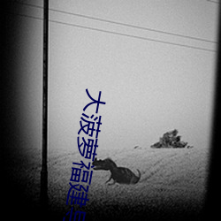大菠萝福建导航18进 （触摸