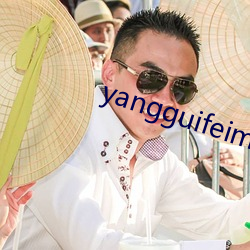 yangguifeimishi