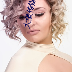 大象传媒18勿秘密入口跳转版 v1.5推出无痕浏览功能