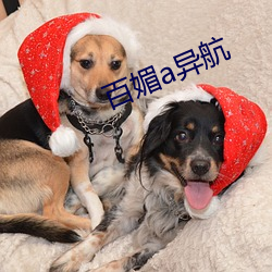 百媚a异航
