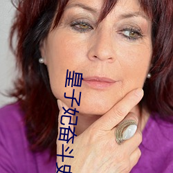 皇子妃奮鬥史