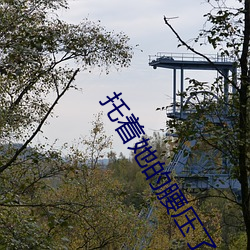 托着她的腰压了下去