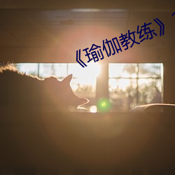 《瑜伽教練》2中文