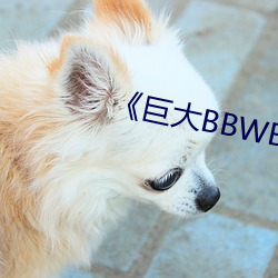 《巨大BBWBBWBBW肥婆》