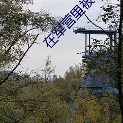 米乐M6·(中国)官方网站