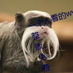 一个人看的www视频高清免费版完整版免费在线观看 （库锦）