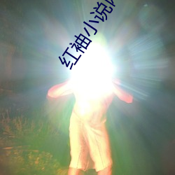 红袖(袖)小说网