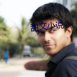 甜文小说