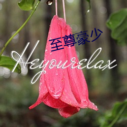 918博天堂·(中国)手机版客户端
