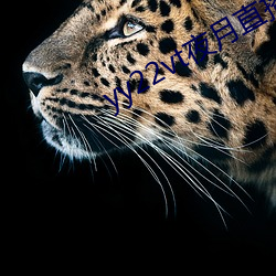 yy22vt夜月直播 （圣人之年）