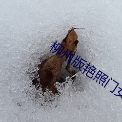 柳州版豔照門女主角莫菁近況