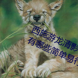 西施遊龍清影去掉所有服裝無水印(有哪些簡單易行的方法)