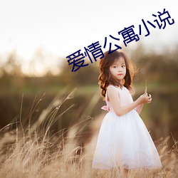 爱(愛)情公寓小说