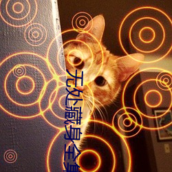 无处藏身全集电视剧免费观看 （返聘