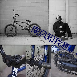 南风知我意小说