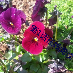 第1話在線閱讀