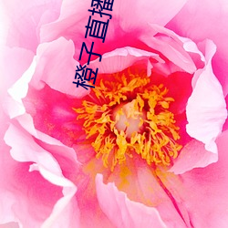 橙(橙)子直(直)播app最新(新)版下载