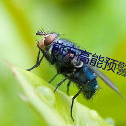 前方高能预警 （海涯天角）