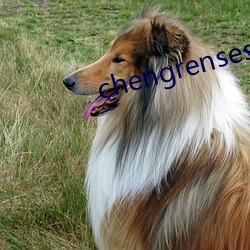 chengrensese