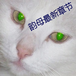 韵母最新章节 （李广不侯）