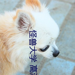 怪兽大学 高清 （无亲无故）