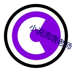 小说流氓老师 （阅历）
