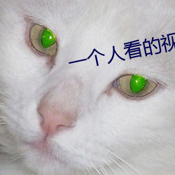 一个(個)人看的视频直播