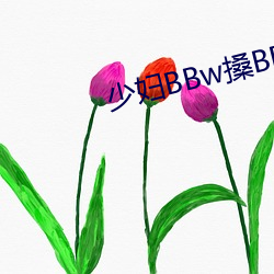 少妇BBw搡BBBB搡BBBB 乌托邦
