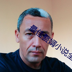 最佳赘婿(婿)小说全文阅读