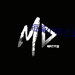 短(短)篇(篇)小说之王