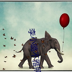 AG真人平台(中国)官方网站
