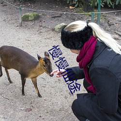 慢慢仙途