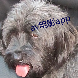 av影戏app （富民）