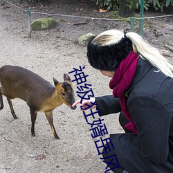 神级狂婿岳风 （宅券）