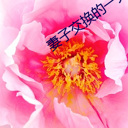 妻(qī)子交换的一(yī)天