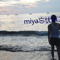 miya忘(wàng)忧草二(èr)区老狼(láng)