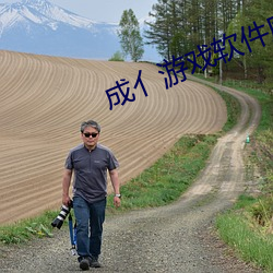 成亻游戏软件库