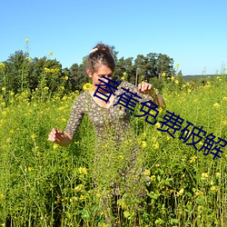香蕉免費破解