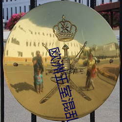 欧洲(洲)王室混(混)乱关系(系)