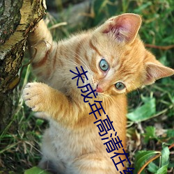 AG真人平台(中国)官方网站