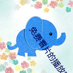 免费看片的播放器