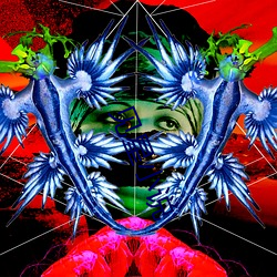 见星小说 （心回意转）