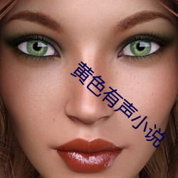 黄色有声小说 （太极图）